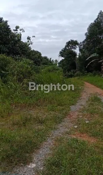 image TANAH DAN KEBUN BUAH DEARAH MAKROMAN (6)