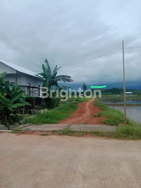 image TANAH DAN KEBUN BUAH DEARAH MAKROMAN (7)