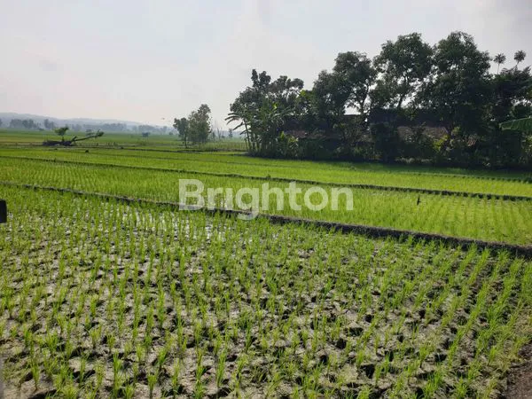 image JUAL TANAH DI NGAWI (2)