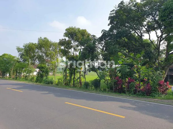 image JUAL TANAH DI NGAWI (5)