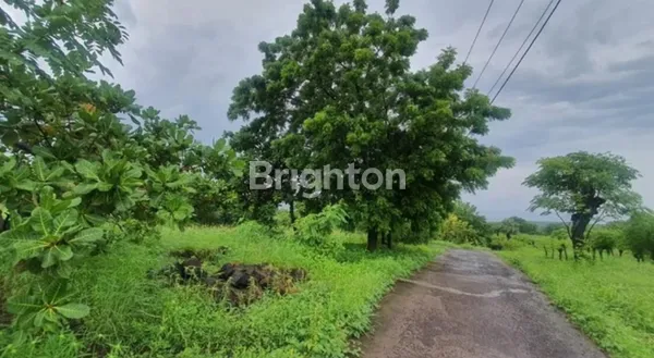 image TANAH MURAH TULAMBEN KARANGASEM SPOT DIVING & SNORKELING TERBAIK DI BALI (2)