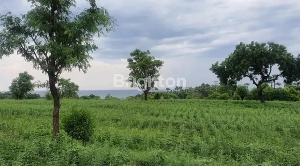 image TANAH MURAH TULAMBEN KARANGASEM SPOT DIVING & SNORKELING TERBAIK DI BALI (3)