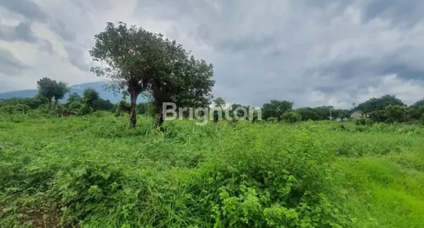 image TANAH MURAH TULAMBEN KARANGASEM SPOT DIVING & SNORKELING TERBAIK DI BALI (4)