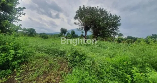 image TANAH MURAH TULAMBEN KARANGASEM SPOT DIVING & SNORKELING TERBAIK DI BALI (5)