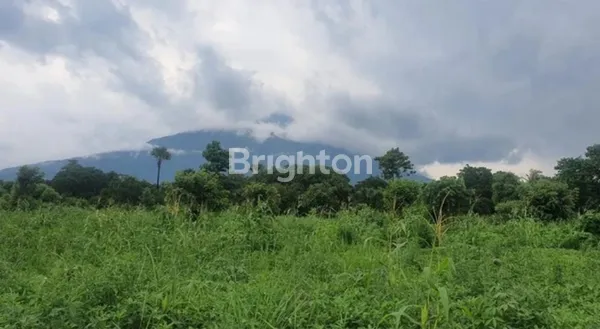 image TANAH MURAH TULAMBEN KARANGASEM SPOT DIVING & SNORKELING TERBAIK DI BALI (6)