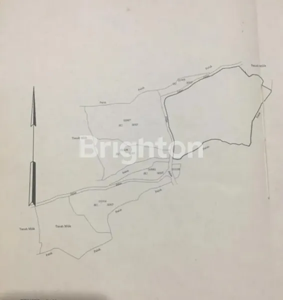 image TANAH MURAH TULAMBEN KARANGASEM SPOT DIVING & SNORKELING TERBAIK DI BALI (7)