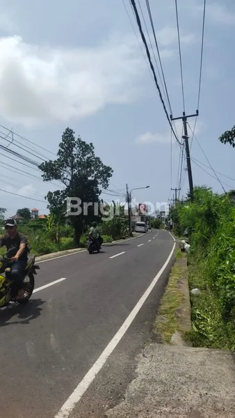 image DISEWAKAN RUKO LOKASI CANGGU BADUNG (3)