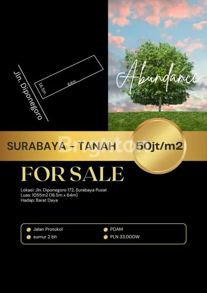 image TANAH LANGKA DIPENEGORO WONOKROMO SURABAYA PUSAT (1)