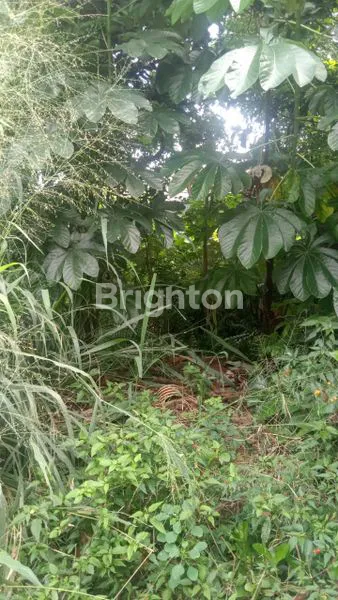 image DI JUAL TANAH LUAS LOKASI STRATEGIS DI KOMPLEKS PERUMAHAN PDK CIPARIGI - BOGOR UTARA (3)