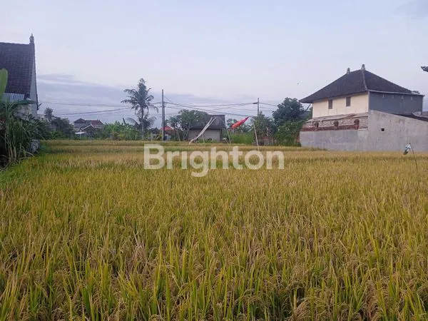 TANAH SEWA JALAN RAYA GUWANG KETEWEL