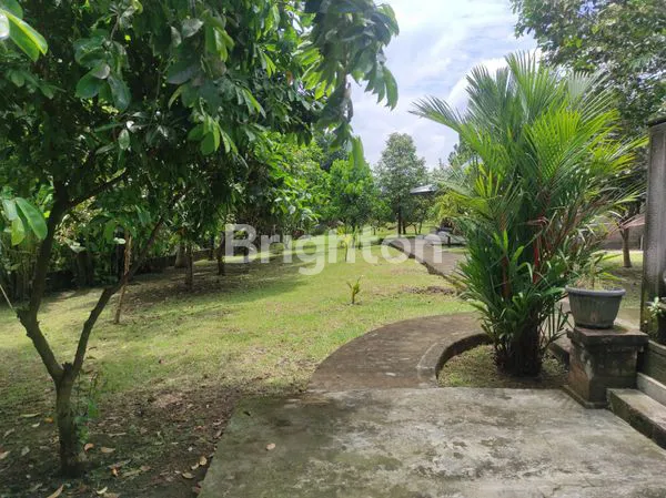 image DIJUAL URGENT BUTUH UANG CEPAT \U203C\UFE0F PEMILIK LANGSUNG LOKASI NYITDAH TABANAN LUAS TANAH 2.000M2 / 20 ARE LOS SUNGAI VIEW SAWAH  (7)