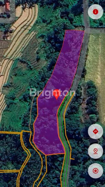 image DI JUAL TANAH DI MENGESTA , PENEBEL (4)