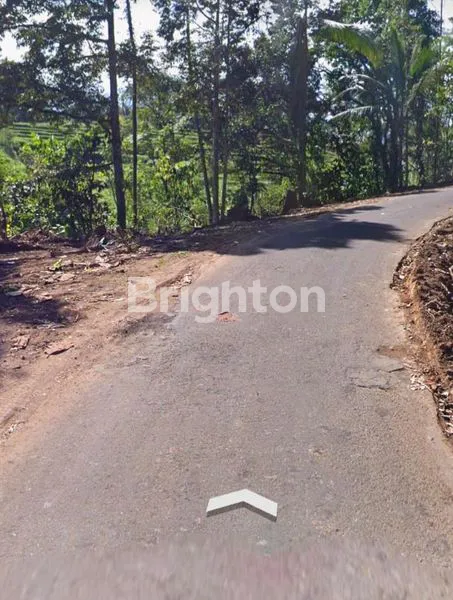 image DI JUAL TANAH DI MENGESTA , PENEBEL (3)