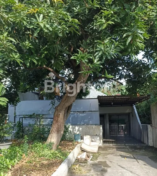 image RUMAH REMEK, HITTANAH, DAERAH MANYAR REJO, DKT NGAGEL, MANYAR KARTIKA, JLN SUDAH ASPAL (1)