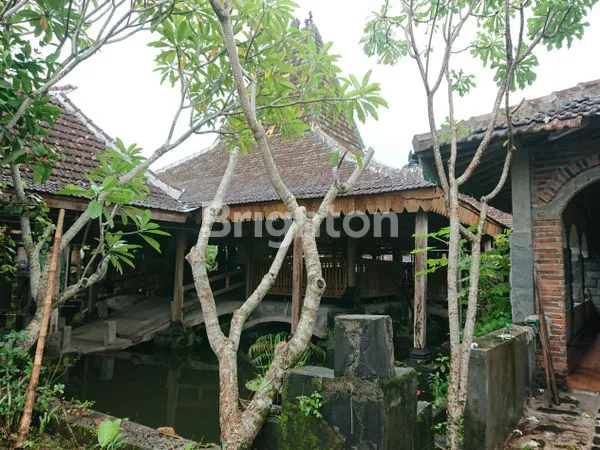 image TANAH BONUS JOGLO LIMASAN SELANGKAH DARI BANDARA ADISUTJIPTO (3)