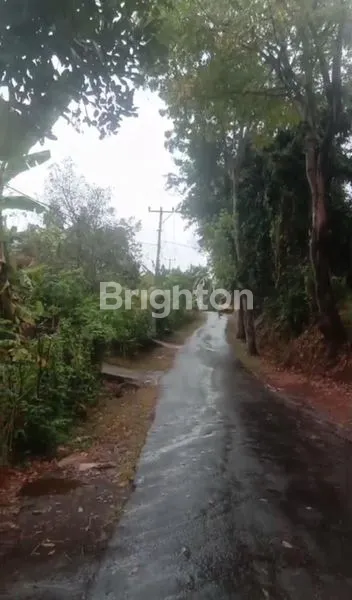 image DIJUAL TANAH DAERAH SINGARAJA.JALAN RAYA POH BERGONG.DESA POH BERGONG SINGARAJA BALI (6)
