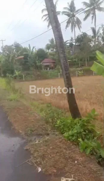 image DIJUAL TANAH DAERAH SINGARAJA.JALAN RAYA POH BERGONG.DESA POH BERGONG SINGARAJA BALI (5)