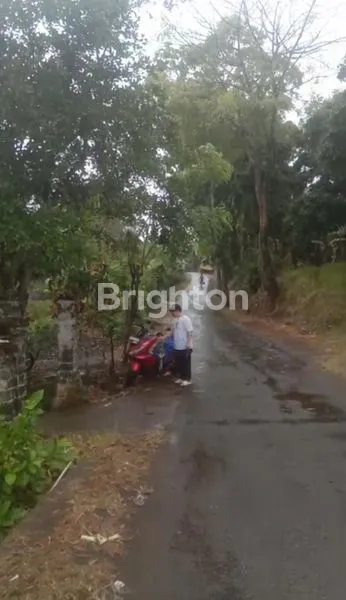 image DIJUAL TANAH DAERAH SINGARAJA.JALAN RAYA POH BERGONG.DESA POH BERGONG SINGARAJA BALI (7)