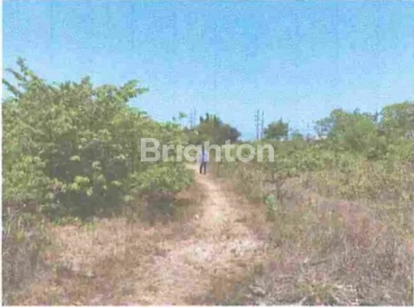 image TANAH 4,3 HA HANYA 15 JT/M² DI JL. RAYA BYPASS NUGRAH RAI SIDAKARYA DENPASAR SELATAN (4)