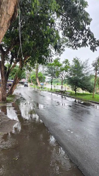 image BELI TANAH AKSES 0 KM JALAN KABUPATEN BONUS BANGUNAN GUDANG (6)