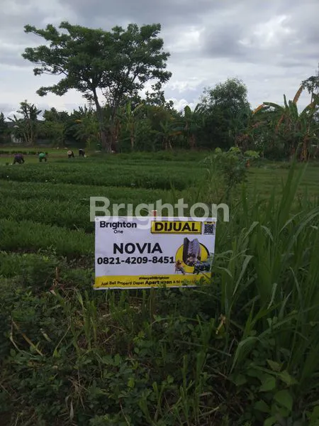 image TANAH DI TUBAN LOKASI STRATEGIS  (1)