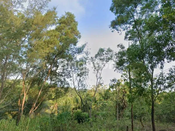 TANAH PINGGIR JALAN RAYA LINTAS SELATAN PACITAN DEKAT PANTAI