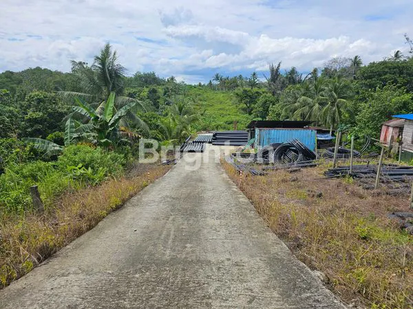 image TANAH DI KM 12 PINGGIR JALAN BESAR COCOK UNTUK INVESTASI (6)