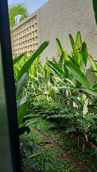 image SEWA VILLA PAVILION MEWAH RAYA MUNGGU 2BR SWIMMING POOL (6)