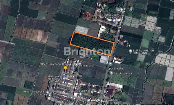 tanah 5115m2 dekat pasar pahing, Tanjungsari, Blitar