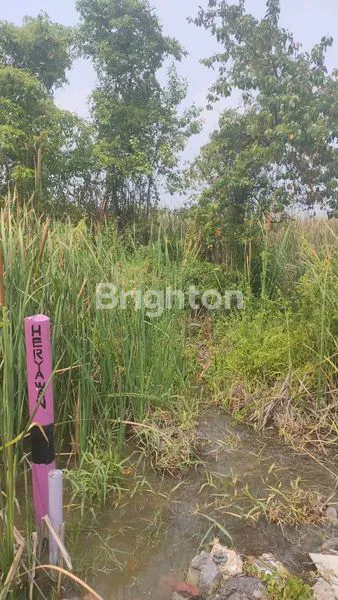 KAVLING MEDOKAN SAWAH