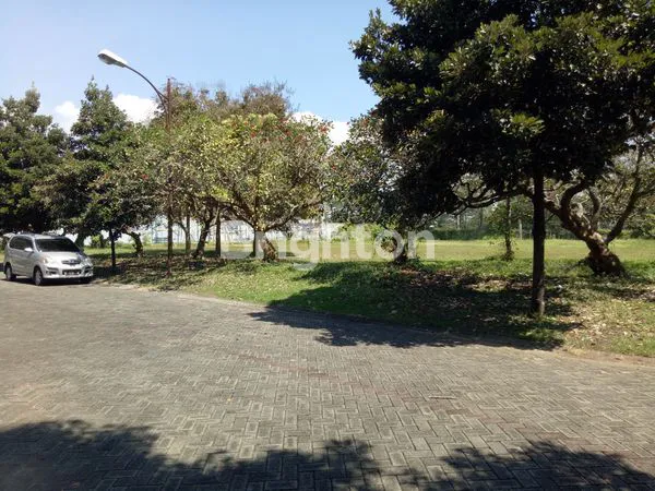 image TANAH ARAYA (1)