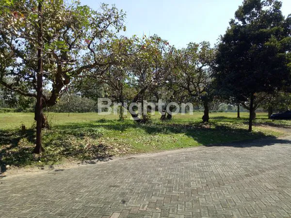 image TANAH ARAYA (2)