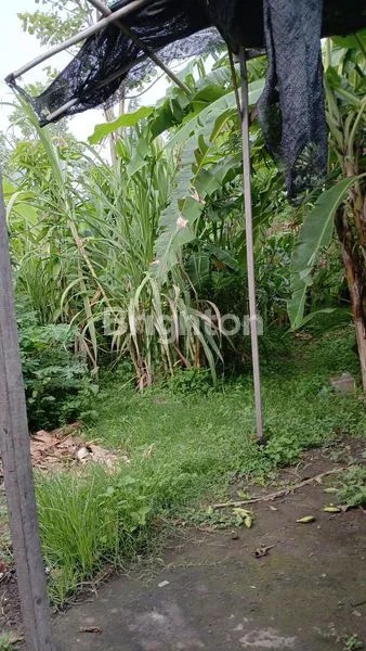 TANAH 10 ARE TABANAN KOTA PINGGIR JALAN