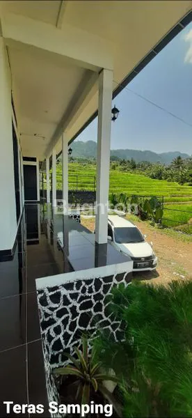 image VILLA DI TENGAH SAWAH YANG MODERN (5)