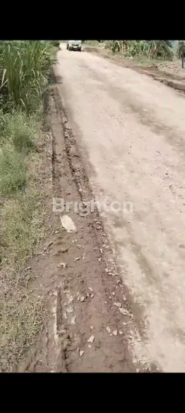 image JUAL TANAH INDUSTRI MOJOKERTO (1)