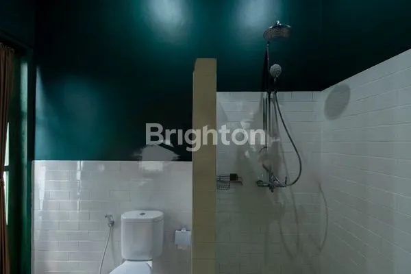 image DISEWAKAN VILLA BRAND NEW DI SANUR COCOK BAGI PENGGEMAR HIJAU MENJADIKAN SUASANA SEGAR DAN ADEM  (8)