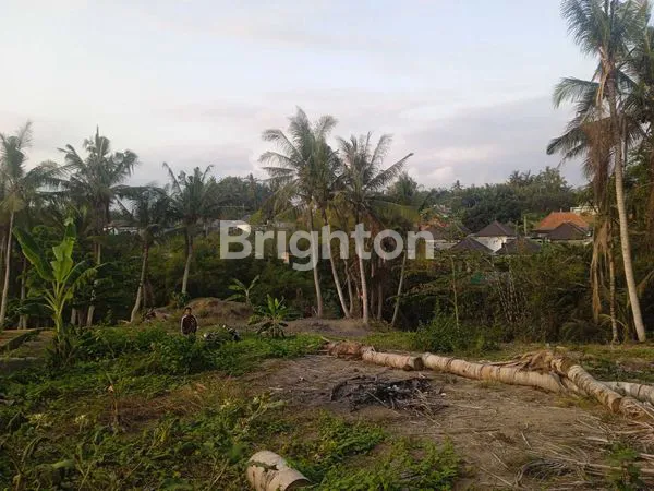 image SISA 1 KAPLING TANAH SEWA DEKAT PANTAI SABA (2)