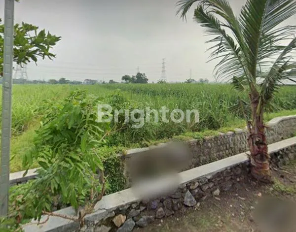 Gambar Property SAWAH 2073M2 AREA BENCE, KEDIRI KOTA