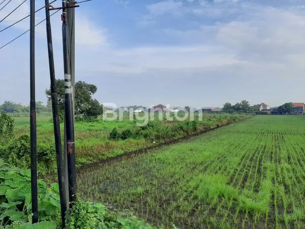 image  TANAH LUAS 4500 M² JOMBANG MOJOAGUNG JALAN PROVINSI*_ (1)