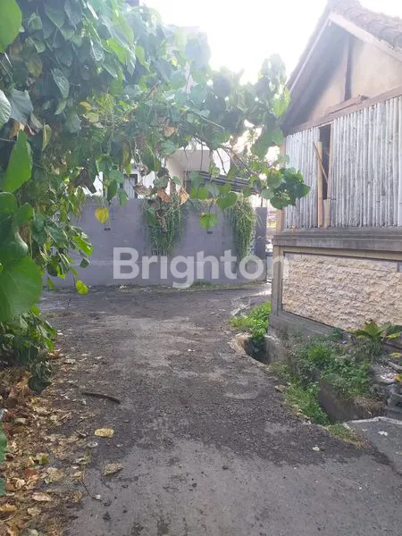 image RUMAH KOS 9 KAMAR, KAMAR MANDI DALAM LUAS TANAH 4,4 ARE HARGA 3,5 M NEGO. (2)