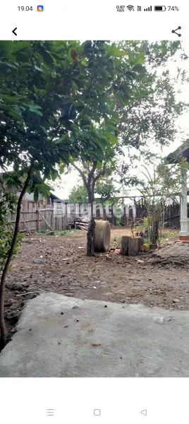 image RUMAH DI JUAL (3)