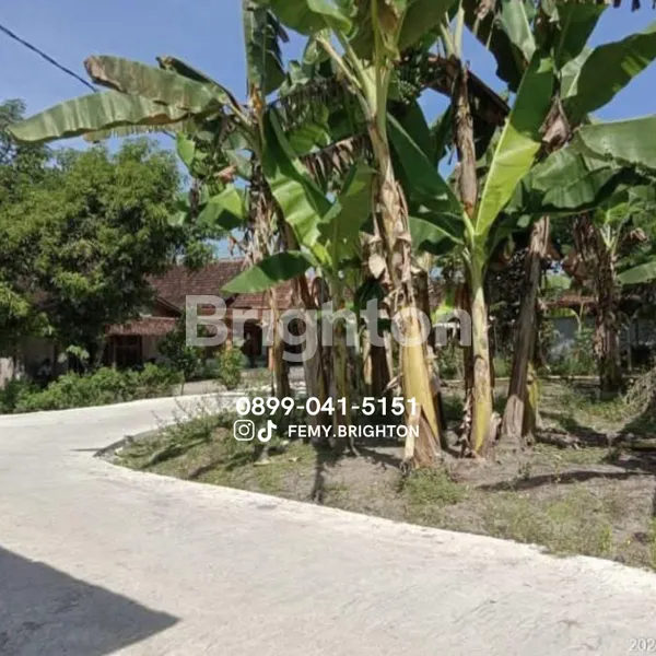 DIJUAL TANAH COCOK UNTUK HUNIAN SARADAN KAB.MADIUN