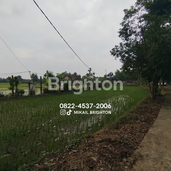 image DIJUAL TANAH BONUS PETERNAKAN AYAM (8)