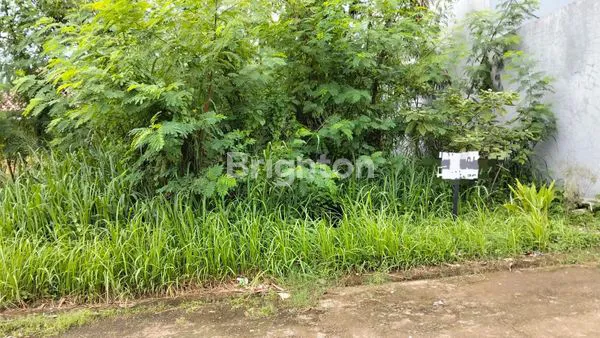 image TANAH KAPLING BEJI DEPOK (2)