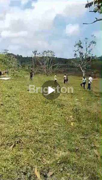 image TANAH 5 HA KILO 25 (1)