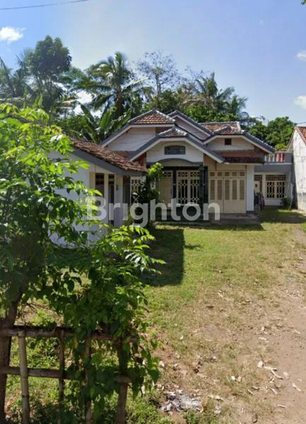 image TANAH BONUS RUMAH DAN BANGUNAN DI BANYUWANGI (1)