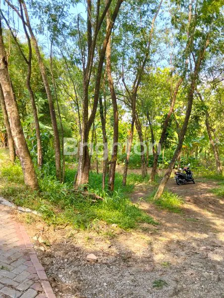 TANAH COCOK UNTUK PERTANIAN / PERKEBUNAN DI METESEH TEMBALANG SEMARANG
