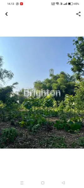 image DI JUAL TANAH (1)