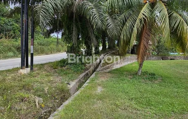 DIJUAL/DISEWAKAN TANAH DI KARIANGAU POSISI STRATEGIS PINGGIR JALAN RAYA