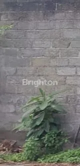 image TANAH DIKONTRAKKAN DI RENON (1)